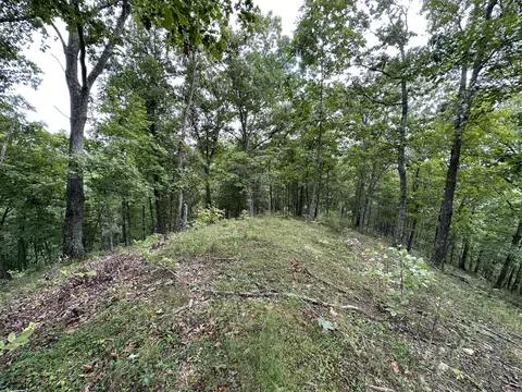 1730 Williams Creek Rd, Rush, KY 41168 photo 27