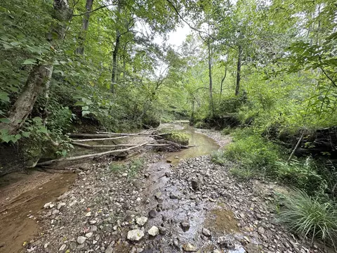 1730 Williams Creek Rd, Rush, KY 41168 photo 15