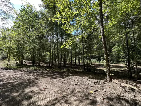 1730 Williams Creek Rd, Rush, KY 41168 photo 4