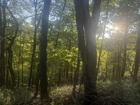 544 Avawam Dr, Richmond, KY 40475