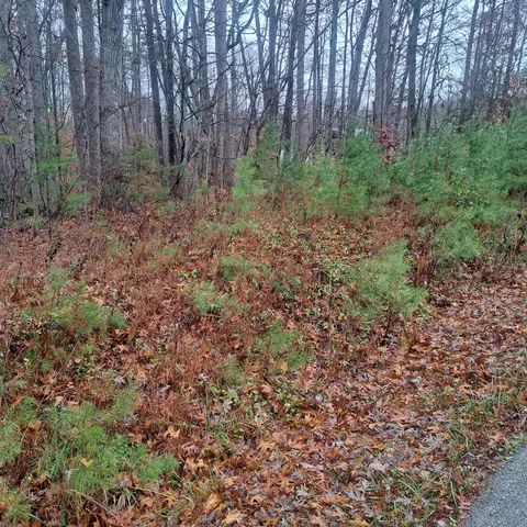 8100 Somerset Rd, London, KY 40741