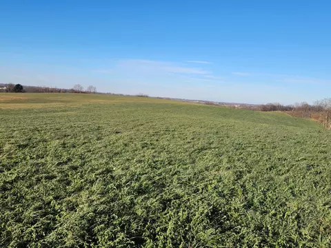 Other - 7370 Energy Rd, Ewing, KY 41039 photo 39 of 44