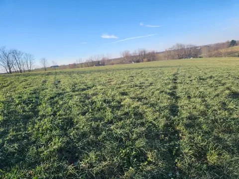 Other - 7370 Energy Rd, Ewing, KY 41039 photo 44 of 44