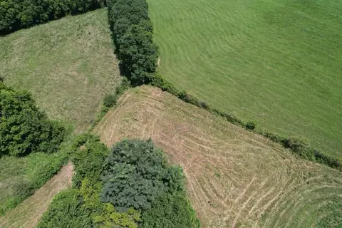 Other - 7370 Energy Rd, Ewing, KY 41039 photo 9 of 44