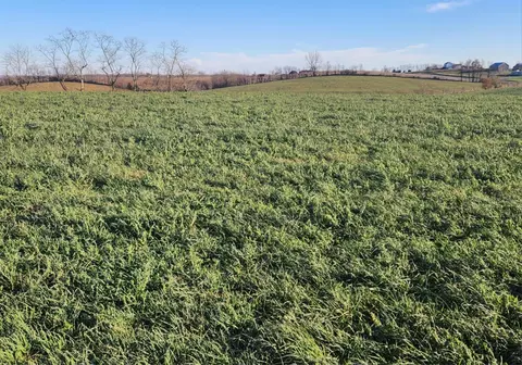 Other - 7370 Energy Rd, Ewing, KY 41039 photo 36 of 44