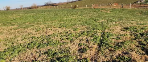 Other - 7370 Energy Rd, Ewing, KY 41039 photo 20 of 44