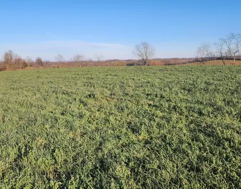Other - 7370 Energy Rd, Ewing, KY 41039 photo 35 of 44