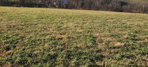 Other - 7370 Energy Rd, Ewing, KY 41039 photo 22 of 44