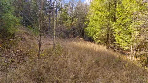0 Mill Branch Rd, Beattyville, KY 41311
