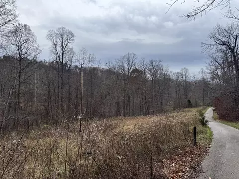 7099 Furnace Rd, Stanton, KY 40380