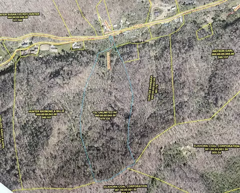 99999 Ky 2030, Martin, KY 41649