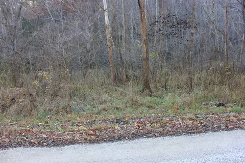 0 Crooked Crk Rd, Orlando, KY 40460