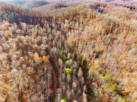 0 Ky-15 South Ky-15 S, Campton, KY 41301 photo 7
