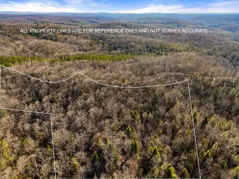 1111 Bee Creek Rd, Corbin, KY 40701 photo 32