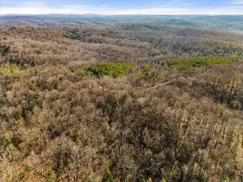 1111 Bee Creek Rd, Corbin, KY 40701 photo 30