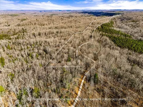 1111 Bee Creek Rd, Corbin, KY 40701 photo 4