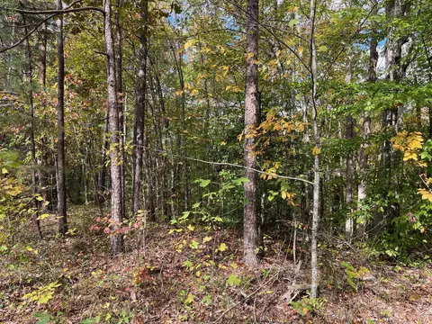 1111 Bee Creek Rd, Corbin, KY 40701 photo 6