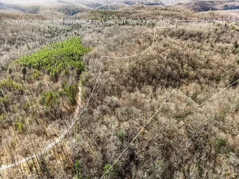 1111 Bee Creek Rd, Corbin, KY 40701 photo 18