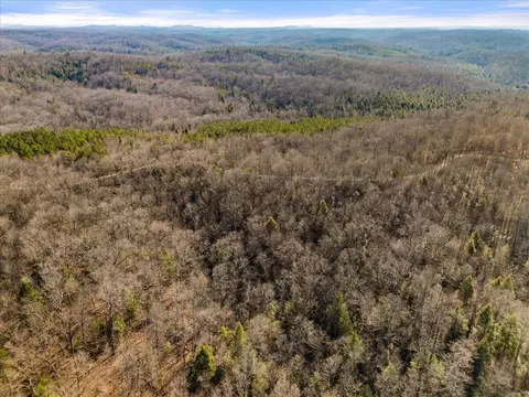 1111 Bee Creek Rd, Corbin, KY 40701 photo 31