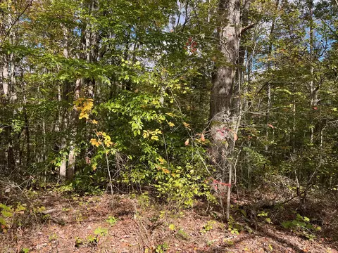 1111 Bee Creek Rd, Corbin, KY 40701 photo 3