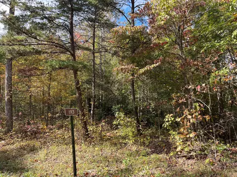 1111 Bee Creek Rd, Corbin, KY 40701 photo 5