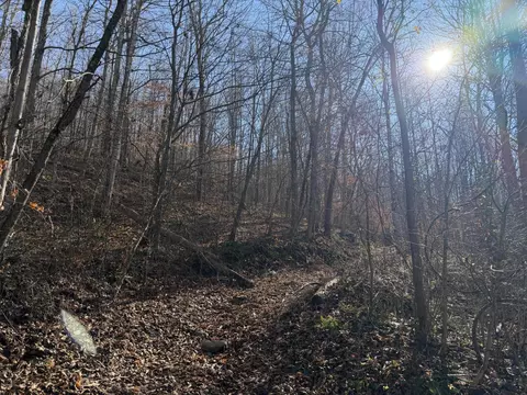 198 Dan Dishman Rd, Monticello, KY 42633