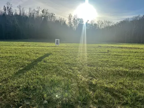lot8 Hensley Rd, East Bernstadt, KY 40729