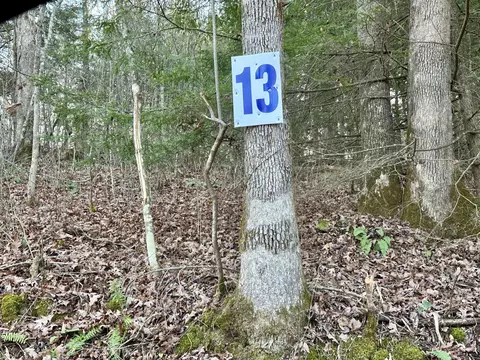 lot13 Hensley Rd, East Bernstadt, KY 40729