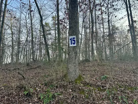lot15 Hensley Rd, East Bernstadt, KY 40729
