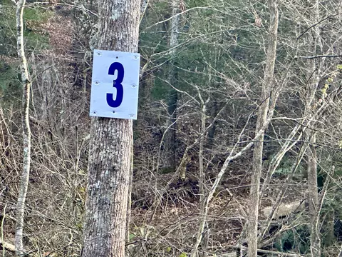lot3 Radford Rd, East Bernstadt, KY 40729