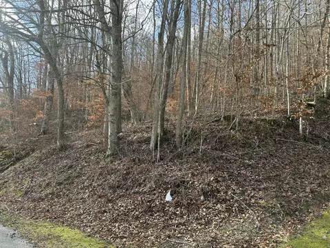 tbd N Fork Rd, Stanton, KY 40380