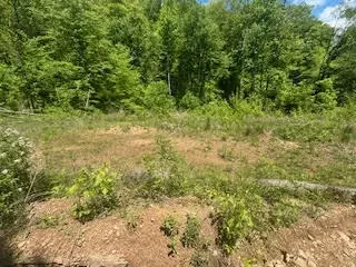 9999 S Hwy 1482, Oneida, KY 40972 photo 19
