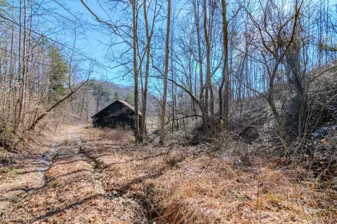 9999 S Hwy 1482, Oneida, KY 40972 photo 7