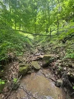 9999 S Hwy 1482, Oneida, KY 40972 photo 11