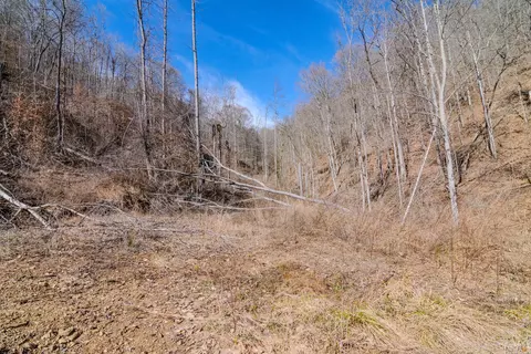 9999 S Hwy 1482, Oneida, KY 40972 photo 17