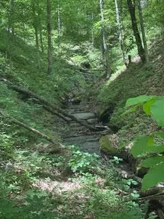 9999 S Hwy 1482, Oneida, KY 40972 photo 2