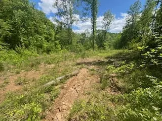 9999 S Hwy 1482, Oneida, KY 40972 photo 20