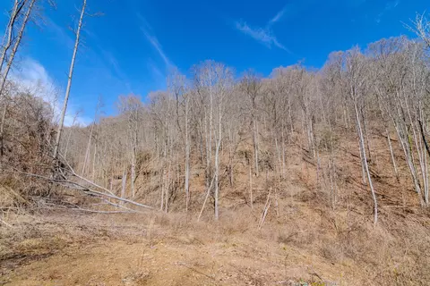 9999 S Hwy 1482, Oneida, KY 40972 photo 16