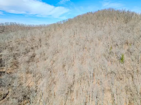 9999 S Hwy 1482, Oneida, KY 40972 photo 5