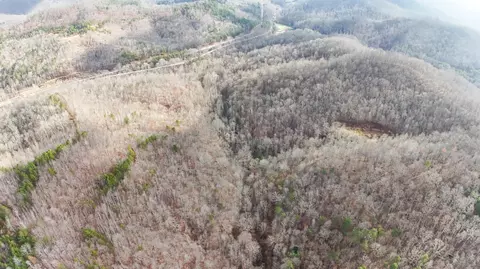 1111 Arkle Rd, Gray, KY 40734