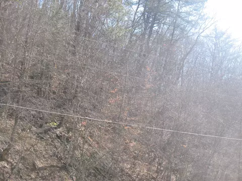 1391 Long Branch Rd, Oneida, KY 40972 photo 7