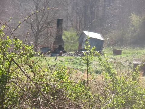 1391 Long Branch Rd, Oneida, KY 40972 photo 4