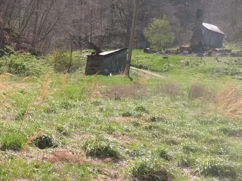 1391 Long Branch Rd, Oneida, KY 40972 photo 8