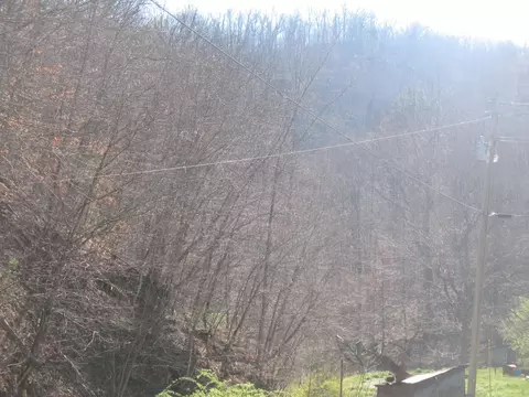 1391 Long Branch Rd, Oneida, KY 40972 photo 10