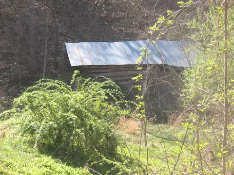 1391 Long Branch Rd, Oneida, KY 40972 photo 5