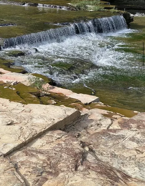 11 24 Hwy 3264, Science Hill, KY 42553