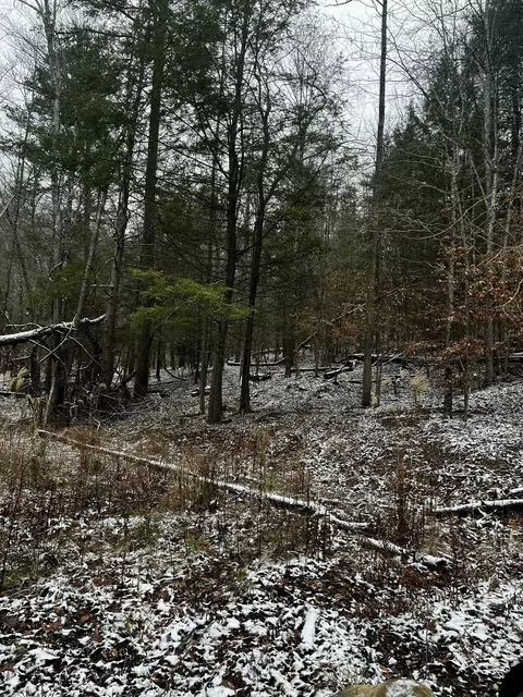 lot114 Paradise Mtn, Rogers, KY 41365
