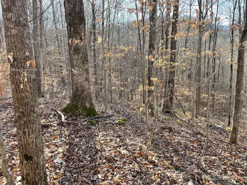2211 Dixie Bend Rd, Burnside, KY 42519