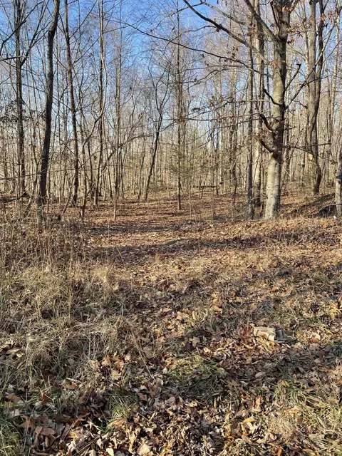 2211 Dixie Bend Rd, Burnside, KY 42519 photo 2
