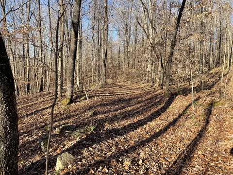 2111 Dixie Bend Rd, Burnside, KY 42519